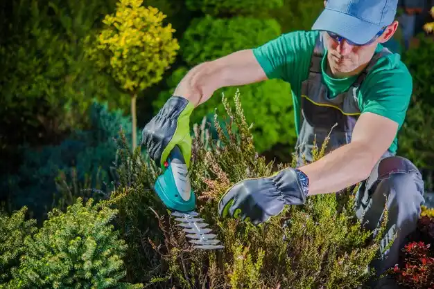 landscaping services Benton